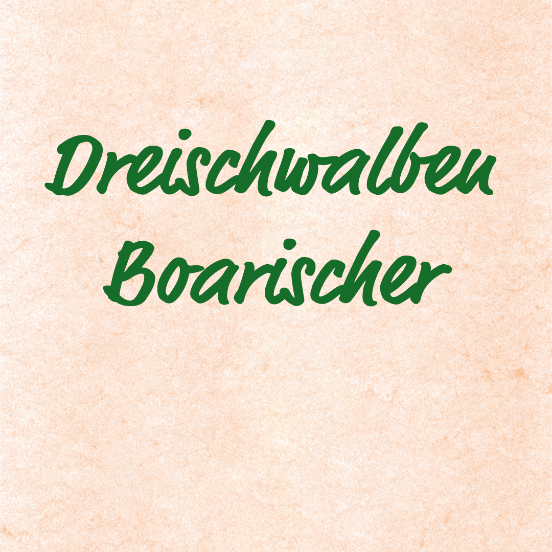 Dreischwalben Boarischer - C. Bammer / M. Rieser, Aufnahmen