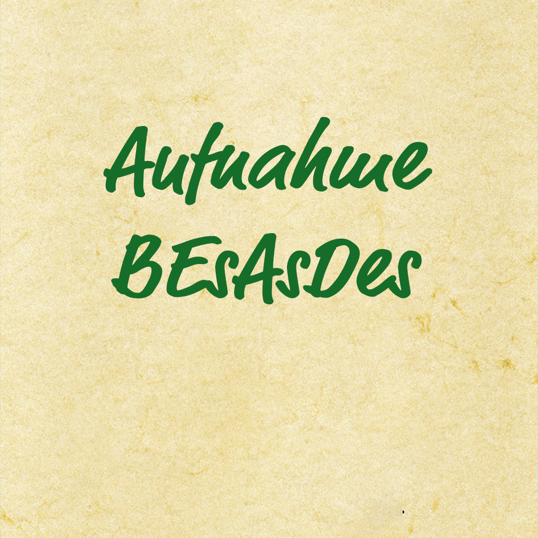 Marsch der Steirer – Sepp Kern, Aufnahmen