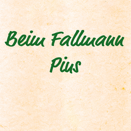 Beim Fallmann Pius - Christian Hartl / Wolfgang Pichler, Aufnahmen