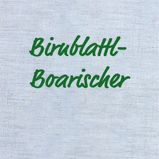 Birnblattl-Boarischer – Klaus Karl, Aufnahmen