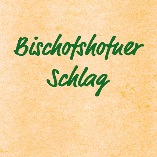 Bischofshofner Schlag - Volksweise, Aufnahmen