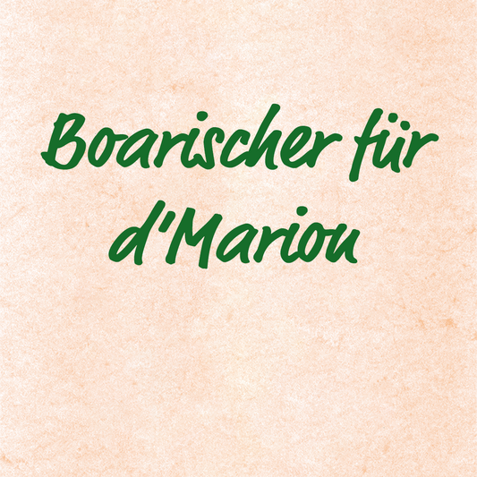 Boarischer für d'Marion - Marinus Zimmerer, Aufnahmen