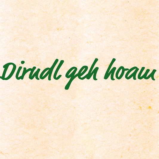 Dirndl geh hoam - Sepp Karl, Aufnahmen