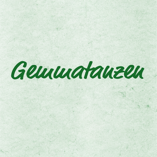 Gemma tanzen - Johannes G. Fuchs, Aufnahmen
