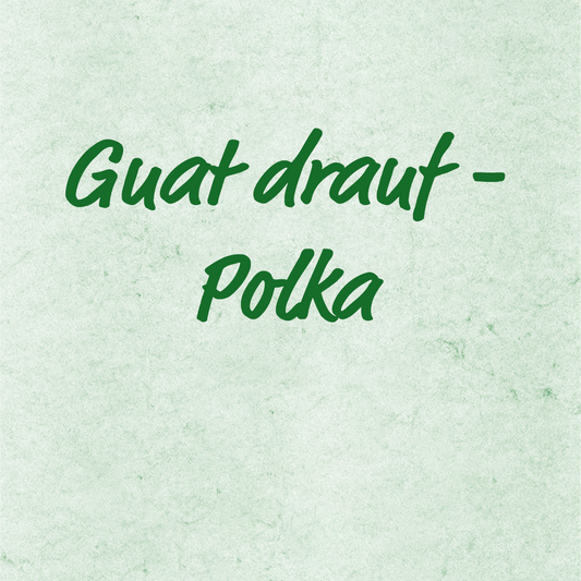 Guat drauf - Polka - Elisabeth Feichtnhofer, Aufnahmen
