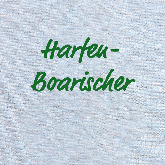 Harfen-Boarischer - Klaus Karl, Aufnahmen