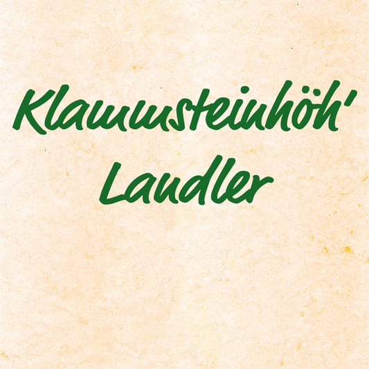 Klammsteinhöh‘ Landler - Tobias Reiser, Aufnahmen