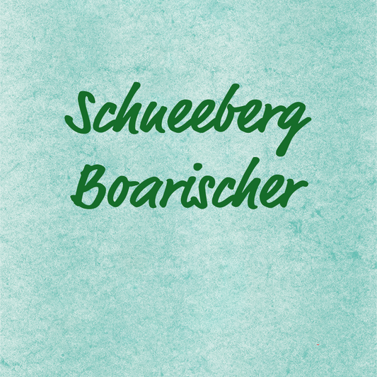 Schneeberg Boarischer - Harti Pilsner, Aufnahmen