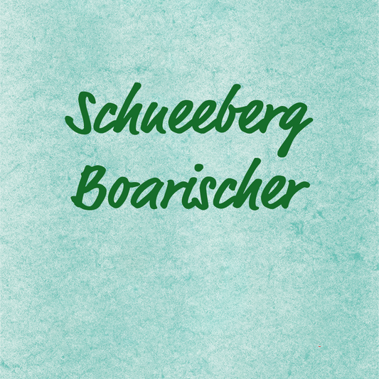 Schneeberg Boarischer - Harti Pilsner, HarmonikaNoten