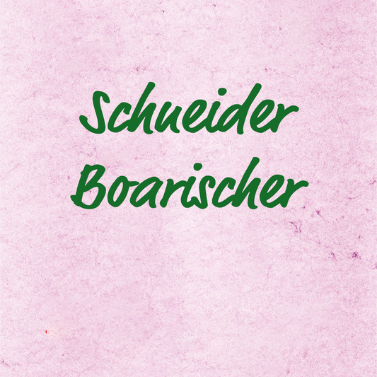 Schneider-Bayrischer - Tobias Reiser, HarmonikaNoten