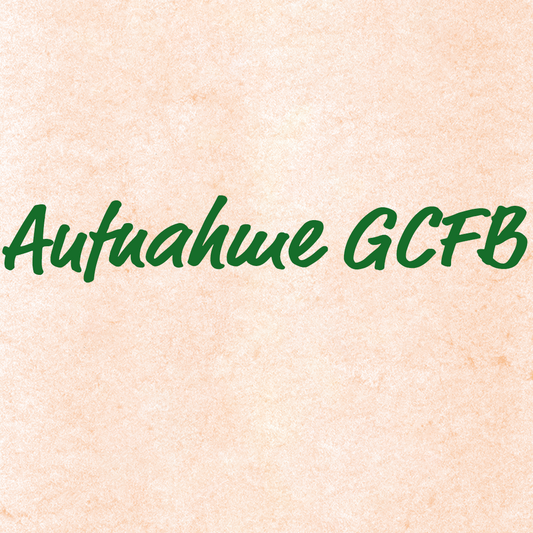 Dreischwalben Boarischer - C. Bammer / M. Rieser, Aufnahmen