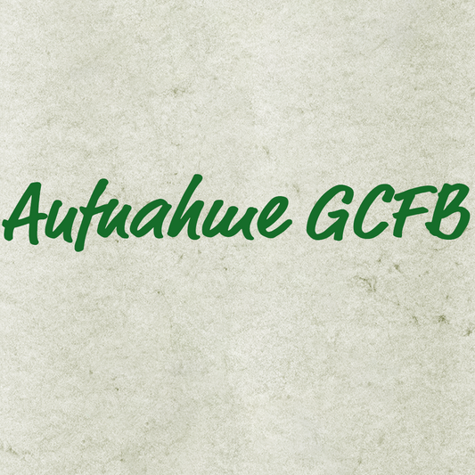 Die Pentscher-Bäurin - Bernd Prettenthaler, Aufnahmen